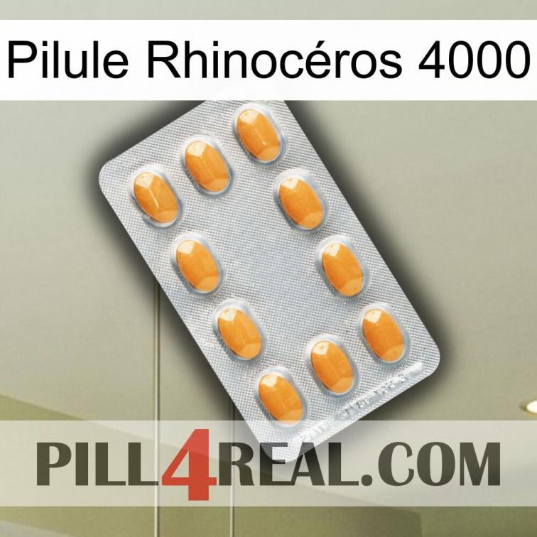 Pilule Rhinocéros 4000 cialis3